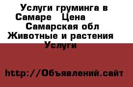 Услуги груминга в Самаре › Цена ­ 500 - Самарская обл. Животные и растения » Услуги   